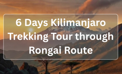 6 Days Kilimanjaro Trekking Tour through Rongai Route