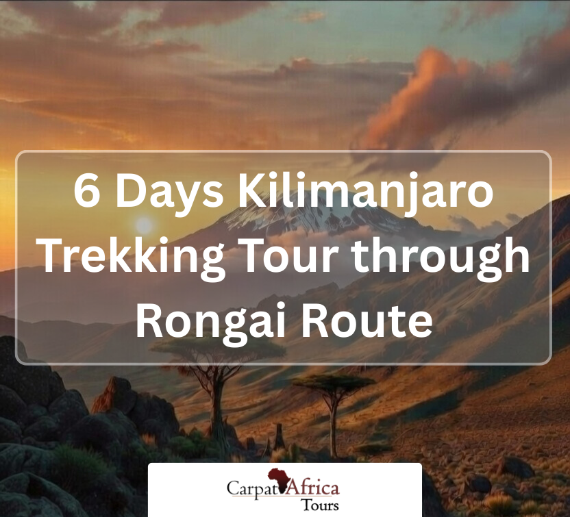 6 Days Kilimanjaro Trekking Tour through Rongai Route
