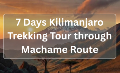 7 Days Kilimanjaro Trekking Tour through Machame Route - CarpartAfrica.com