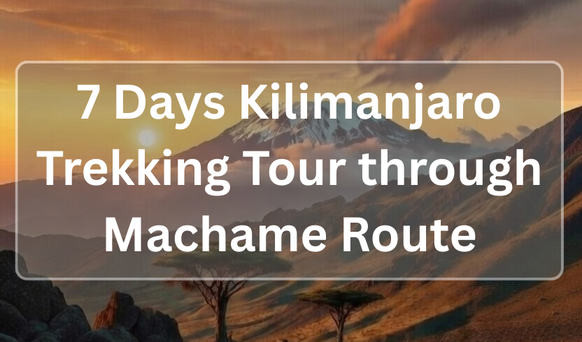 7 Days Kilimanjaro Trekking Tour through Machame Route - CarpartAfrica.com