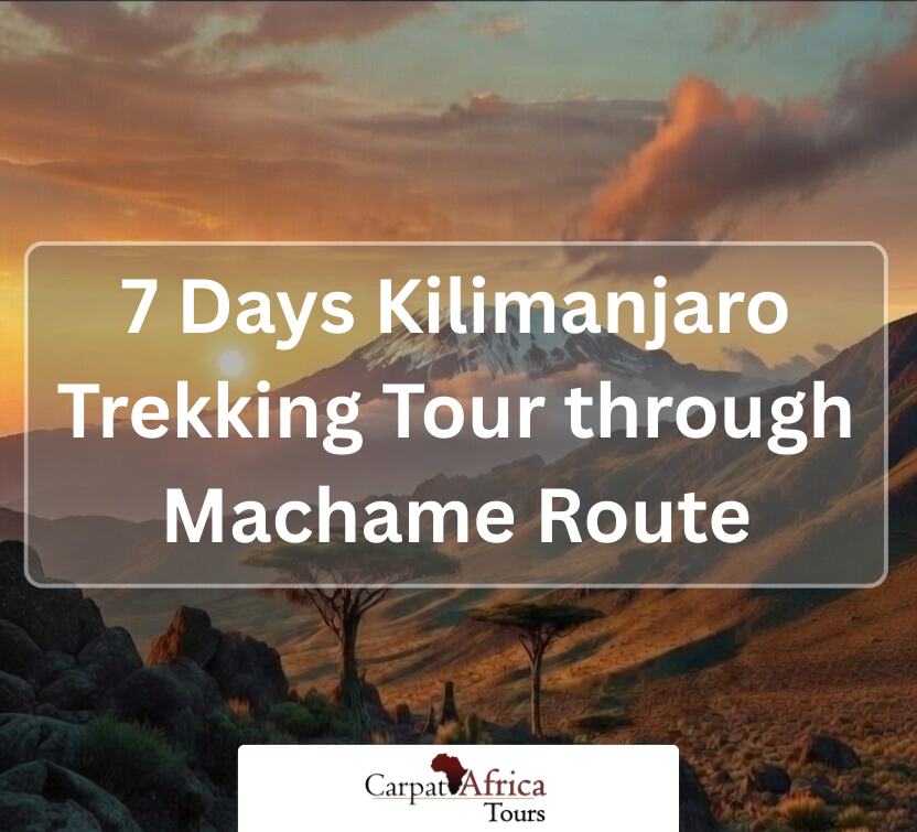 7 Days Kilimanjaro Trekking Tour through Machame Route - CarpartAfrica.com
