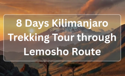 8 Days Kilimanjaro Trekking Tour through Lemosho Route - CArpatafricatours.com
