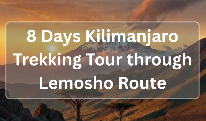 8 Days Kilimanjaro Trekking Tour through Lemosho Route - CArpatafricatours.com